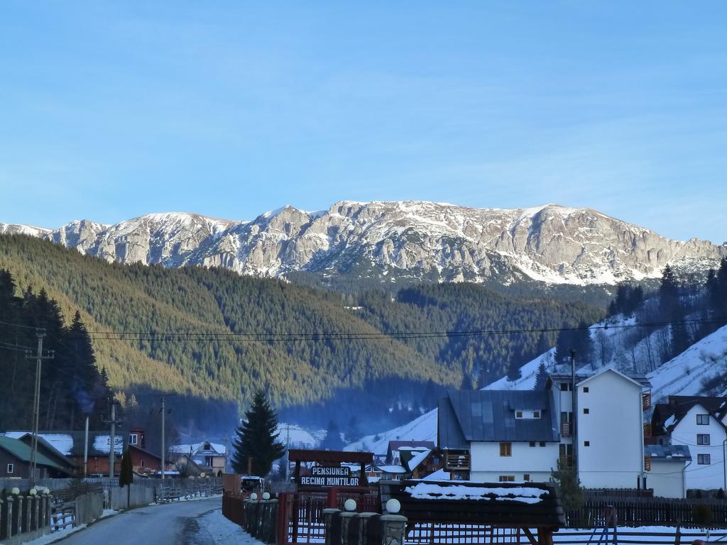 Готель Ranger Chalet Моєчу-де-Сус Номер фото