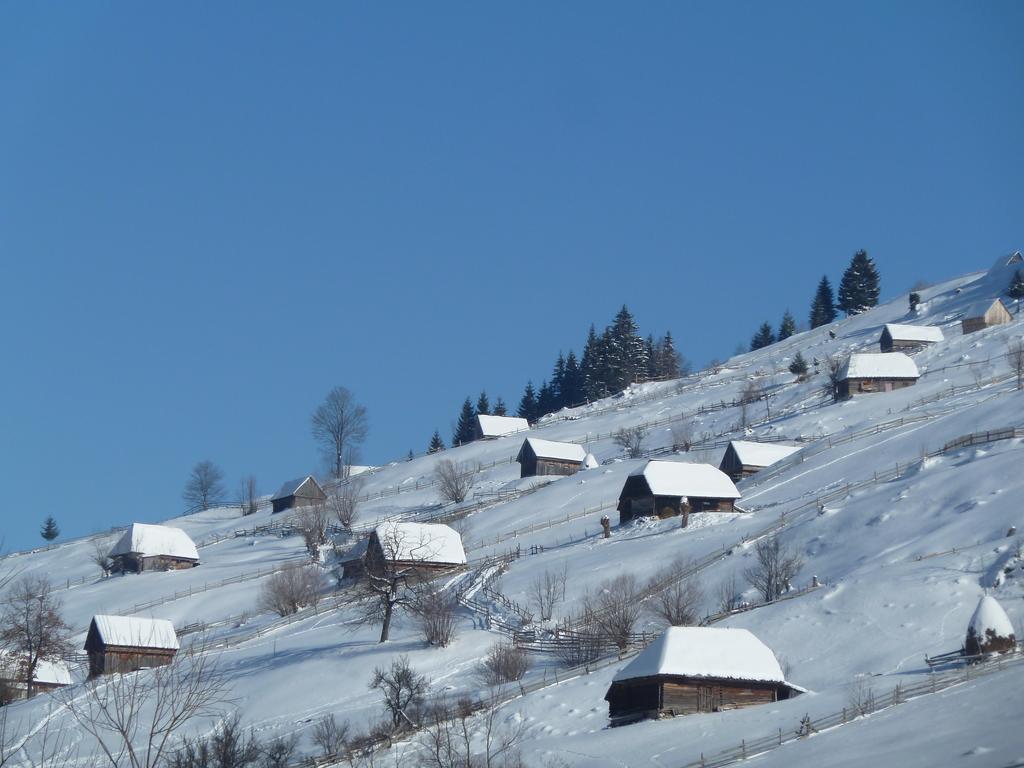 Готель Ranger Chalet Моєчу-де-Сус Номер фото