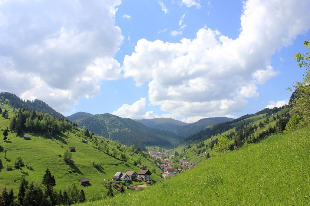 Ranger Chalet Моєчу-де-Сус Номер фото